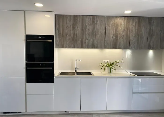 Apartamentos Condal - Duplex O Planta Baja Con Jacuzzi & Bbq * Nerja